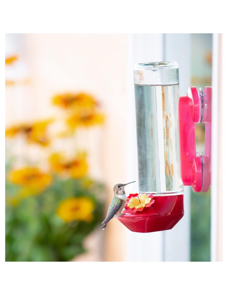 Alimentador de Colibríes de Vidrio Perky-Pet 455-2 414 ml Rojo