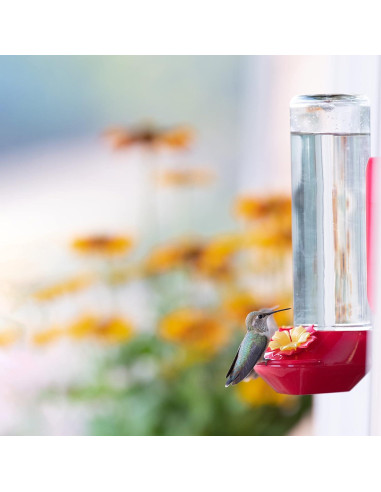 Alimentador de Colibríes de Vidrio Perky-Pet 455-2 414 ml Rojo