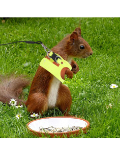 Conjunto Arnés y Correa Ajustable POPETPOP para Conejo y Ardilla 2