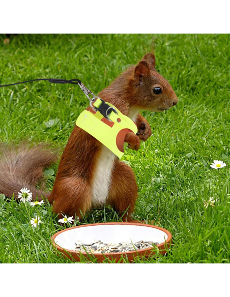 Conjunto Arnés y Correa Ajustable POPETPOP para Conejo y Ardilla
