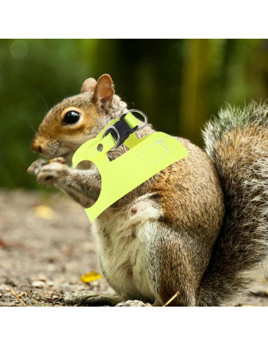 Conjunto Arnés y Correa Ajustable POPETPOP para Conejo y Ardilla