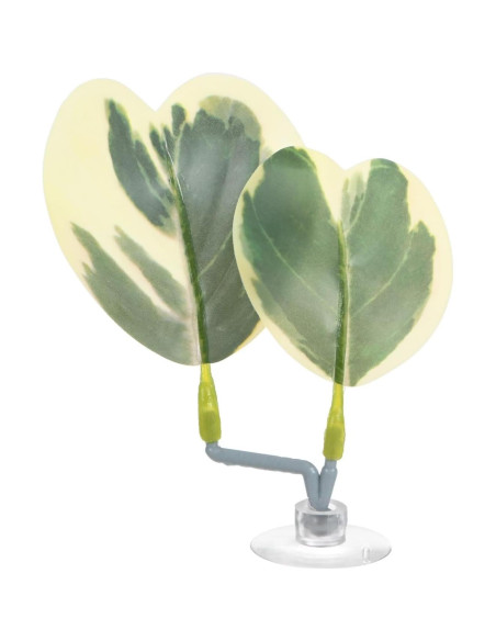 Almohadilla de Hoja para Peces Betta M METERXITY 85x110mm