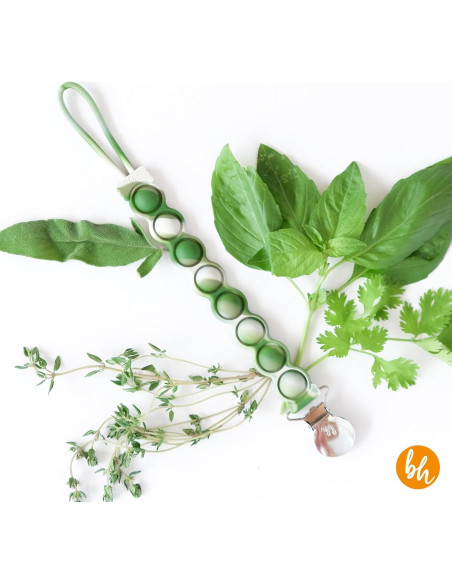 Clip para Chupete BooginHead PaciGrip Sensory Verde 100% Silicona