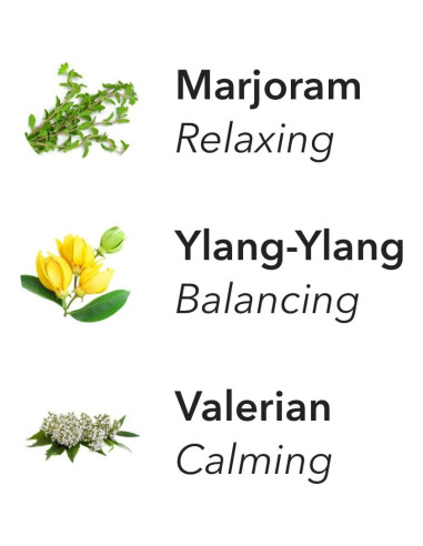 Recarga Aera Bliss Aromaterapia - Notas de orégano y ylang-ylang