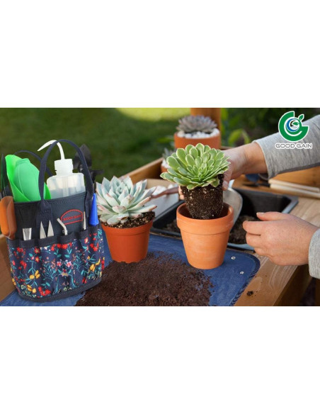 Kit de Herramientas para Suculentas G Good Gain 13 Piezas