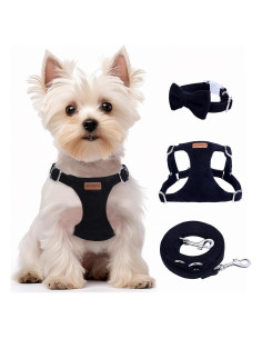 Conjunto Arnés y Correa BUMBIN para Perros Pequeños XS Negro