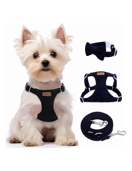 Conjunto Arnés y Correa BUMBIN para Perros Pequeños XS Negro