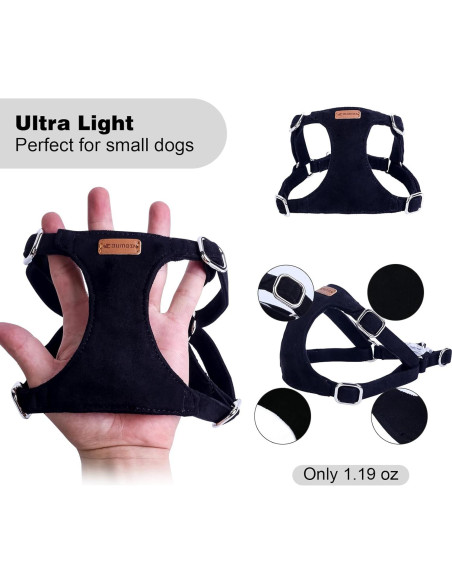 Conjunto Arnés y Correa BUMBIN para Perros Pequeños XS Negro
