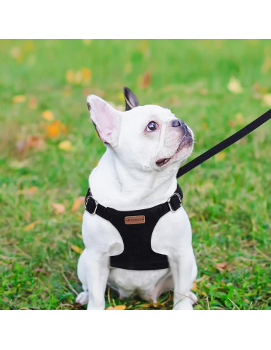 Conjunto Arnés y Correa BUMBIN para Perros Pequeños XS Negro