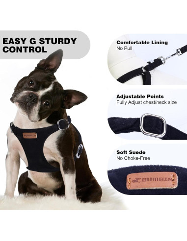 Conjunto Arnés y Correa BUMBIN para Perros Pequeños XS Negro