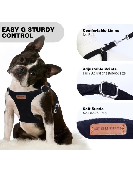 Conjunto Arnés y Correa BUMBIN para Perros Pequeños XS Negro
