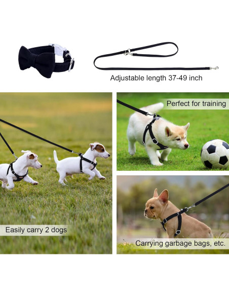 Conjunto Arnés y Correa BUMBIN para Perros Pequeños XS Negro