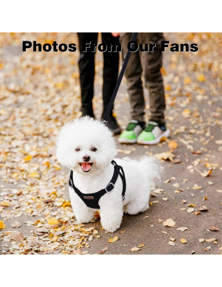 Conjunto Arnés y Correa BUMBIN para Perros Pequeños XS Negro