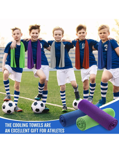 Toallas Enfriadoras Hosuly 12 Piezas 30x100 cm Microfibra