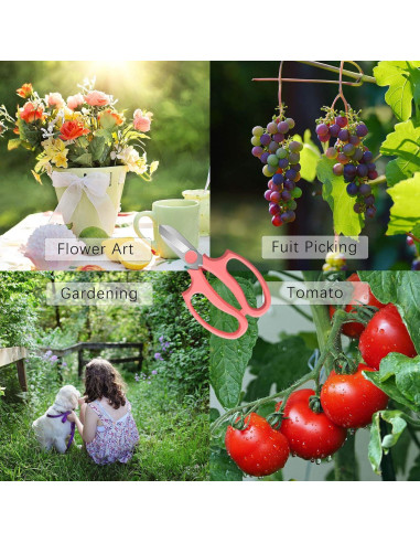 Tijeras de Flores Leize, Acero Inoxidable 8mm, 2 Piezas