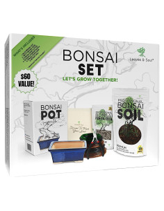 Kit Completo para Bonsai Leaves and Soul - Maceta Azul 30x25cm