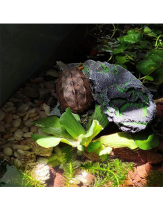 Plataforma de Sol para Reptiles Mipukbay Roca Decorativa 20cm 2