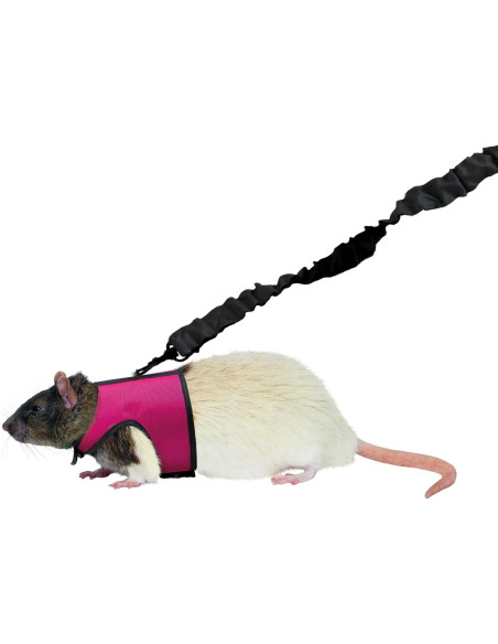 Arnés de Confort Kaytee Pequeño con Correa Elástica 1.22m