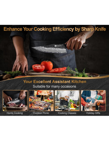 Cuchillo de Chef XINZUO 21.8 cm Acero Damasco 67 Capas