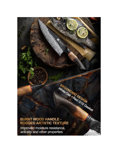 Cuchillo de Chef XINZUO 21.8 cm Acero Damasco 67 Capas