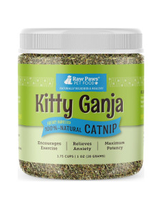 Hierba Gatera Fresca Raw Paws 28.35 g - Natural y Segura