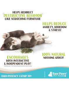 Hierba Gatera Fresca Raw Paws 28.35 g - Natural y Segura 2