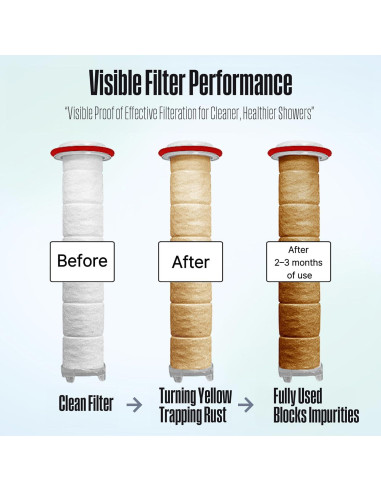 Cabezal de Ducha Filtrado Poseion BT100DG - Alta Presión, Agua Magnetizada