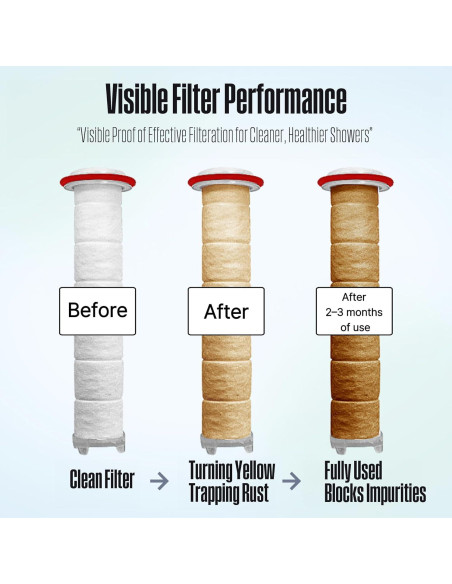 Cabezal de Ducha Filtrado Poseion BT100DG - Alta Presión, Agua Magnetizada