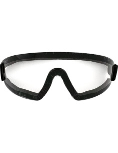 Gafas de Buceo Birdz Eyewear Wing con Lentes Transparentes 2