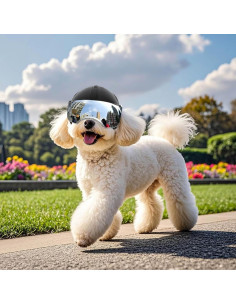 Casco para Perros PETLESO con Gafas Antivaho Plateadas 15x12x10cm 2