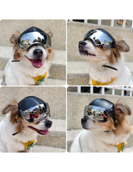 Casco para Perros PETLESO con Gafas Antivaho Plateadas 15x12x10cm
