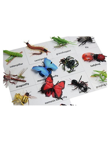 Tarjetas de coincidencia de animales Curious Minds Montessori