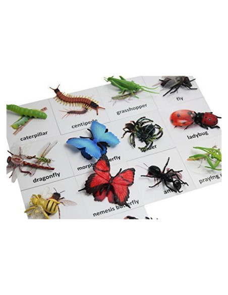 Tarjetas de coincidencia de animales Curious Minds Montessori Tarjetas de coincidencia de animales Curious Minds Montessori