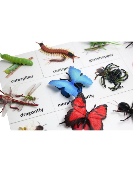 Tarjetas de coincidencia de animales Curious Minds Montessori Tarjetas de coincidencia de animales Curious Minds Montessori