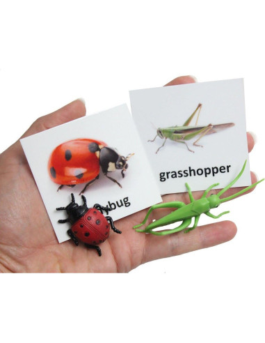 Tarjetas de coincidencia de animales Curious Minds Montessori