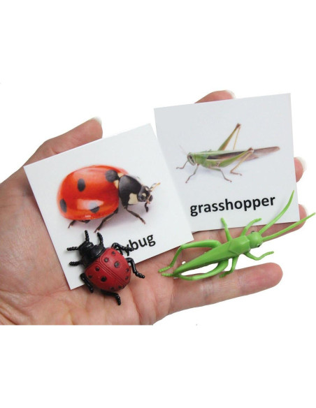 Tarjetas de coincidencia de animales Curious Minds Montessori Tarjetas de coincidencia de animales Curious Minds Montessori