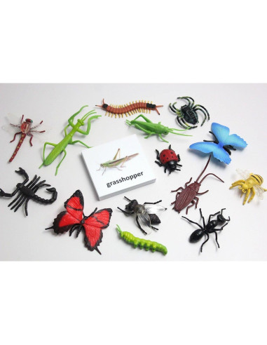 Tarjetas de coincidencia de animales Curious Minds Montessori