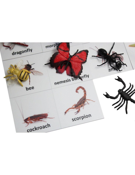 Tarjetas de coincidencia de animales Curious Minds Montessori Tarjetas de coincidencia de animales Curious Minds Montessori