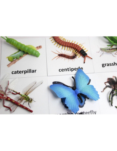 Tarjetas de coincidencia de animales Curious Minds Montessori