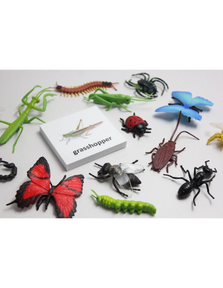 Tarjetas de coincidencia de animales Curious Minds Montessori Tarjetas de coincidencia de animales Curious Minds Montessori