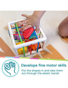 Juguete Clasificador Montessori LiKee 12.7 cm 18+ meses 2