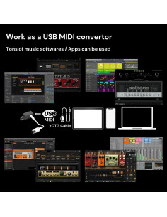 Adaptador MIDI Inalámbrico Paint Audio MIDI Mate USB-MIDI 2
