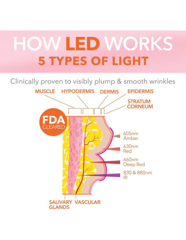 Dispositivo Labial LED Dr Dennis Gross LipWare Pro