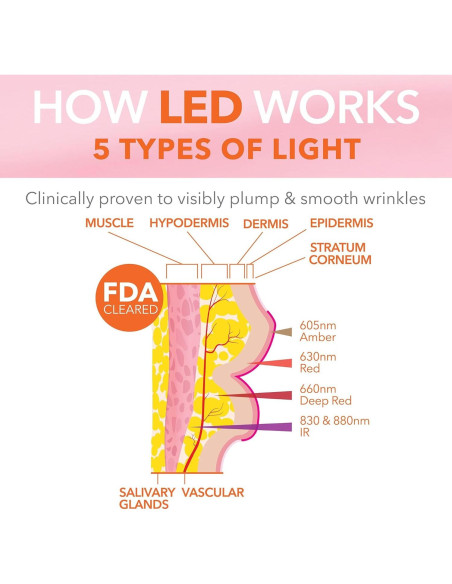 Dispositivo Labial LED Dr Dennis Gross LipWare Pro
