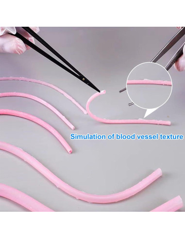 Modelo de Práctica de Suturas Vascular SZEMENTMD 1.5x120mm