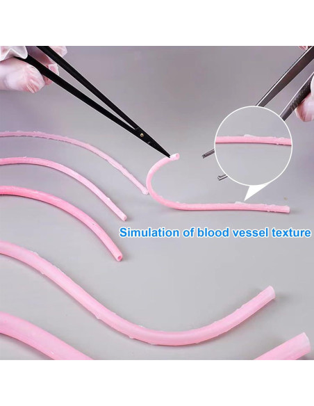 Modelo de Práctica de Suturas Vascular SZEMENTMD 1.5x120mm