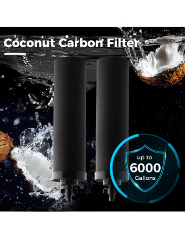 Filtro de Agua de Carbón Activado iSpring FDGF2 11.4 L/h