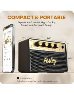 Amplificador de guitarra Fesley FGA10 10W Bluetooth portátil 2