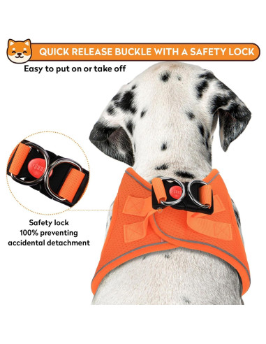 Arnés Reflectante para Perro PWOD - Sin Tirones, Ajustable, Naranja Brillante, XXXS