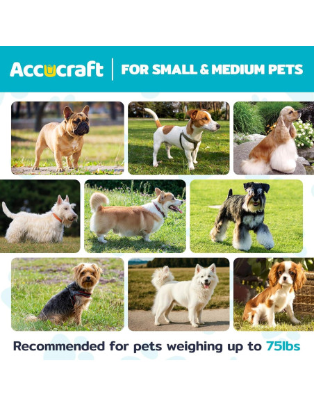 Bañera Elevada Plegable para Perros ACCUCRAFT 3 Niveles